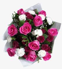 Pink Rose Chrysanthemum And Carnation Bouquet Hybrid Tea Rose Png Image Transparent Png Free Download On Seekpng Free png images, clipart, graphics, textures, backgrounds, photos and psd files. seekpng
