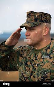 Dorsey hi-res stock photography and images