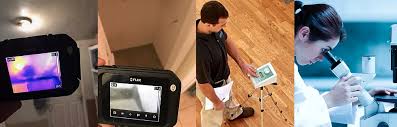 Air quality assessors is a member of vimeo, the home for high quality videos and the people who love them. Air Quality Testing Water Damage Fort Myers