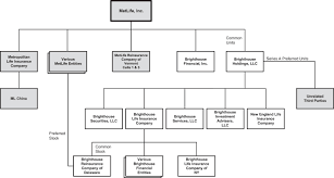 metlife organizational chart 2019