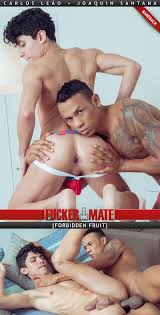 Carlos Leão - WAYBIG