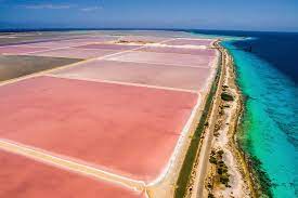 Bonaire is a caribbean island just north of venezuela, politically part of the netherlands. Bonaire Island Tour With Or Without Beach Escape Your Choice 2021