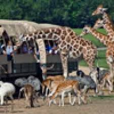 Fun Things To Do With Kids In Mandeville La On Familydaysout Com Http Www Familydaysout Com Kids Things To Do Usa M Mandeville La Mandeville Things To Do