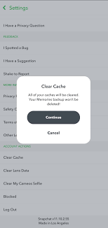 Here's a comment from a user regarding this:. 8 Ways To Fix Snapchat Notifications Not Working Saint