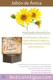 Jabon De Arnica Como Desinflamante Y Antiseptico Jabones Jabones Naturales Recetas De Jabon