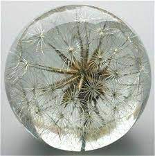 Great savings & free delivery / collection on many items. Paperweight Paperweights Art Glass Paperweight Glass Marbles