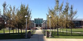 We did not find results for: Former Jewish Student Sues Kutztown University Over Outrageous Antisemitic Acts Jewish Israel News Algemeiner Com