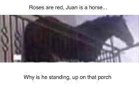Machine wash cold with like colors, dry low heat. Juan Is A Horse Dankmemes