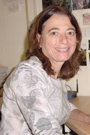 Your Health The Environment