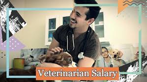 Check spelling or type a new query. How Much Do Vets Make An Hour In 2021