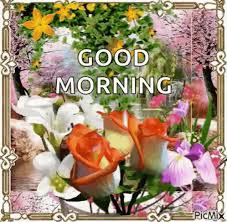 Check spelling or type a new query. Good Morning Flowers Gif Goodmorning Flowers Sparkles Discover Share Gifs Good Morning Flowers Good Morning Flowers Gif Good Morning Images Flowers
