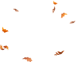 Download Falling Leaves Png Images Flying Autumn Leaf Png Free Fall Leaves Png Autumn Leaves Photo Overlays Autumn leaves background autumn leaf color autumn summer fall leaf coloring watercolor background sunlight watercolor paintings scrapbooking. download falling leaves png images