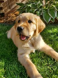 Mar 21, 2021 · librivox volunteers record chapters of books in the public domain, and then we release the audio files back onto the net. Betty June Reddit Post And Comment Search Socialgrep