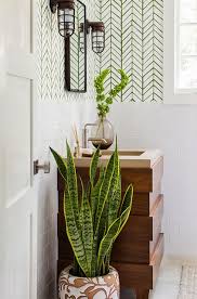 Stamp Stencil Paste Try A New Pattern On A Wall Shower Plant Bathroom Plants Home