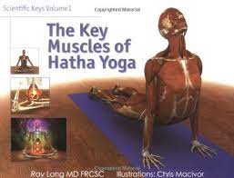 Kundalini yoga postures and techniques, qigong or ch'i kung postures and breathing techniques. Scientific Keys Volume 1 The Key Muscles Of Hatha Yoga Ray Long Amazon De Bucher