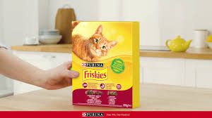 Purina Uzmanlarindan Kaliteli Ve Lezzetli Kedi Mamasi Friskies Youtube