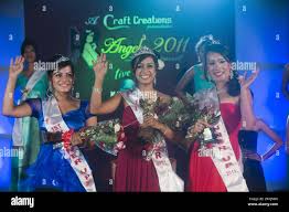 Image result for Pachylobus osika