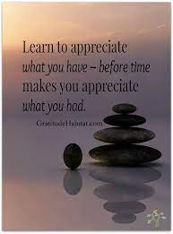  Gratitude Habitat Appreciate What You Have Gratitude Quotes Inspirational Words