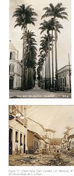 Maria bonfim oliveira, conta que passava de moto pelo local quando. Rua Das Palmeiras Taubate Cartao Postal S D Taubate Sp Acervo Download Scientific Diagram