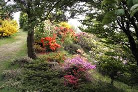 Glenwhan Gardens Sw Scotland Tuin