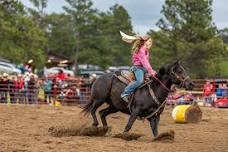 Mount Rushmore Rodeo at Palmer Gulch