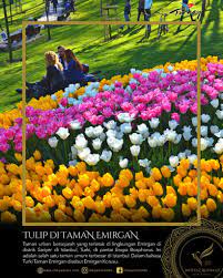 Petik bunga mawar di bulan mei. Emirgran Park Taman Bunga Tulip Di Istanbul Yang Mempesona Imtiyaz Tour