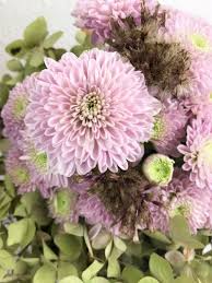 Chrysanthemen Und Hortensien Chrysanthemen Chrysantheme Blume Hortensien