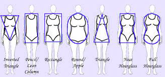 6 types of women's shapes or figures 1. Download Hd Body Shapes Body Shapes Transparent Png Image Nicepng Com
