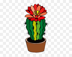 Barrel cacti are found in the mojave wasteland and zion canyon. Barrel Cactus Png Images Pngwing
