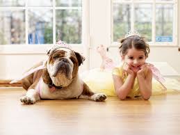 Maybe you would like to learn more about one of these? Best Medium Sized Dogs For Kids