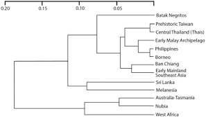 Amend means to put right, to change for the better. we amend by adding or altering, as the noun amendment suggests. Craniodental Affinities Of Southeast Asia S Negritos And The Concordance With Their Genetic Affinities