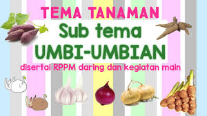 Aug 18, 2018 · contoh powerpoint untuk sidang skripsi yang keren sangat diperlukan. Bdr Tema Tanaman Sub Tema Tanaman Obat Youtube