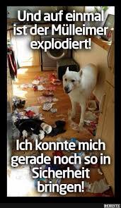 Besten Bilder Videos Und Spruche Und Es Kommen Taglich Neue Lustige Facebook Bilder Auf Debeste De Hier Werden Taglich Hund Witze Katze Lustig Lustige Tiere