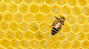 Medallion mercantile provides online honey products. Honey Review Save On Everything You Buy Online With Honey