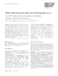 The use of culture techniques. Pdf Somatic Embryogenesis And Regeneration Of Flowering Plants In Rose Jarmo Honkanen Academia Edu