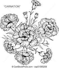 Image Result For Japan Carnation Flowers Vector Carnation Tattoo Carnation Flower Tattoo Flower Drawing