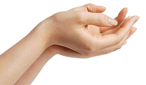 Download Png Image Hands Png Hand Image Free How To Draw Hands Hands Hand Reference