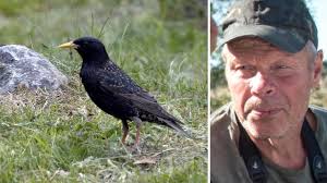 Nu kommer vårfåglarna