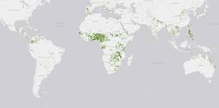 Image result for Vigna comosa