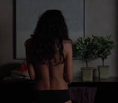A canadian actress of moroccan descent who has appeared on both television and in cinema. Nude Scenes Emmanuelle Chriqui In Tortured Gif Video Nudecelebgifs Com