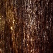 Roasted coffe grains on wooden natural wood structure of thermal ash, texture background wallpaper. Dark Wood Grain Ipad Wallpapers Free Download