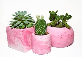 Don't keep the soil too moist as you did during the propagation stage. Marble Succulent Pot Set Pink Concrete Planter With Drainage 18 Colors Free Shipping With Tracking Flower Pots Succulent Pots Pink Succulent