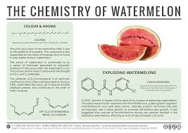 The Chemistry Of Watermelons Colour Aroma Explosions Compound Interest Juice watermelon berry , summer watermelon, watermelon shake served on shake glass png clipart. chemistry of watermelons colour aroma