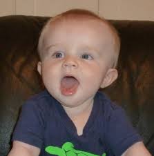 American Bird Conservancy: making a difference in Hawaii.