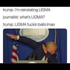 Https Imgur Com Gallery Pl5werd Daily Https Imgur Com Pect0jo Jpg Https Imgur Com H9gqtni Jpg Https Imgur Com Jyfgqiy Jpg 2018 07 15t18 00 05 597z Https Imgur Com Gallery Tb4pnu6 Daily Https Imgur Com Rcpxytg Jpg Central Park Turtles Https