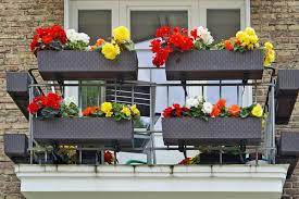 Here's what you need to know about choosing perennial plants and flowers for full sun or part sun. Some Like It Hot Best Plants For Sunny Balconies The Alliance Of International Property Owners