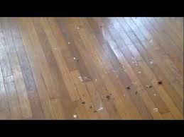 How To Refinish Your Hardwood Floors Without Sanding Refinish Wood Floors Refinishing Hardwood Floors Flooring