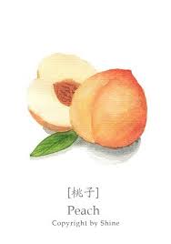 These designs involve mostly linear elements. 13 Peach Tattoo Ideas Peach Tattoo Cool Tattoos Cute Tattoos