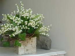 An almost constant show of pale pink or white blooms goes on. 13 Indoor Plants With White Flowers Balcony Garden Web