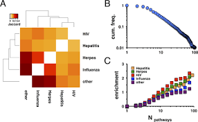 Beyond degree and betweenness centrality: Alternative topological measures  to predict viral targets